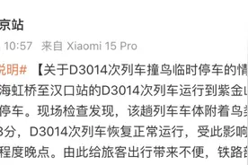 9趟列车晚点原因公布，铁路南京站致歉图片