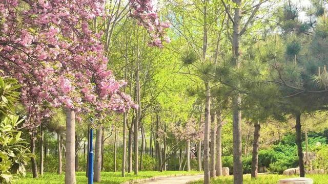 豫见两山 绿色答卷丨生态之旅——打卡“美丽河湖”安阳河