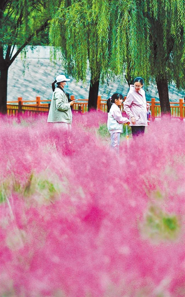 【大美中国】湿地秋色