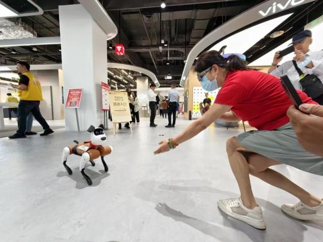 绿意渐浓 活力生长 南中轴有新貌