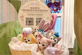 火爆的迪士尼“七宝花束”：官网上架即售罄、游客深夜排队抢购图片