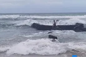 惊险！陵水一男子风浪天气海泳被困礁石 群众紧急求助陵水消防图片