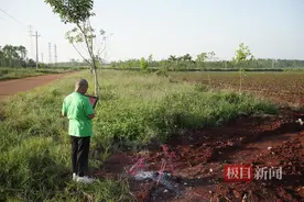 为弟追凶27年，一个姐姐的漫长复仇路图片