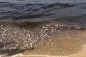 “辽宁一海域海水变黑”，当地回应图片