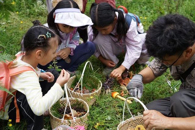 解锁昆明拾菌与旅居新体验——食亦蘑菇君畅谈云南生活新风尚