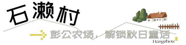 杭州的秋,一半都藏在这些村子里!