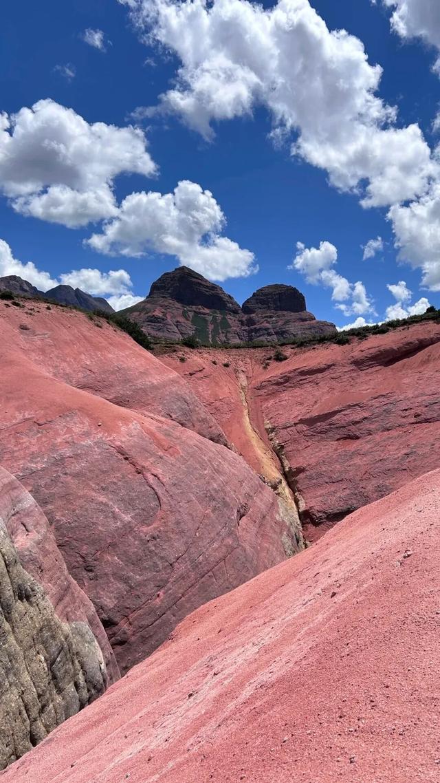 今天没有上班，也没有错过隐藏款新龙红山