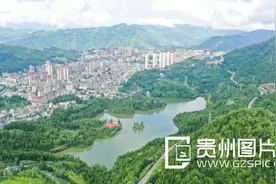 只此青绿，贵州普安邀你共享2025新年的第一杯绿茶图片