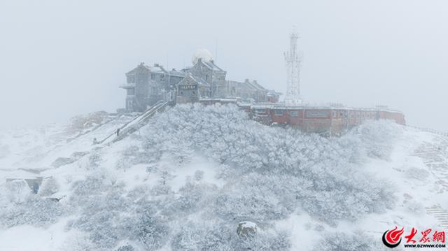 泰山冬日初雪 漫山银白如画