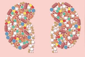 血肌酐升高？警惕这几种肾病！图片