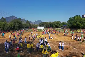 绿美清城丨清城区各中小学共植“学校林”图片