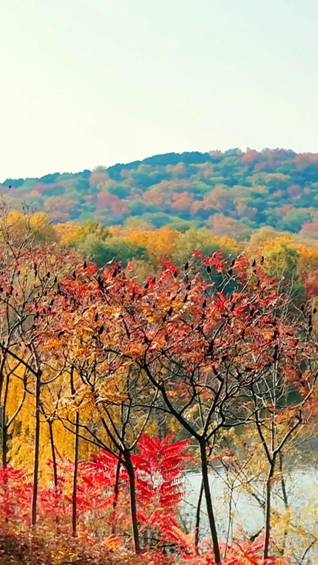 18公里步道免费开放！北京西五环边这个公园迎来最佳观赏期