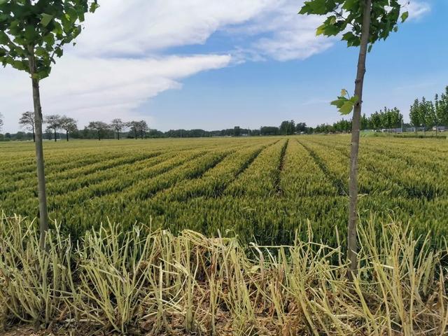 告别网红城市，曾被嫌弃的家乡“隐藏款”才是真香