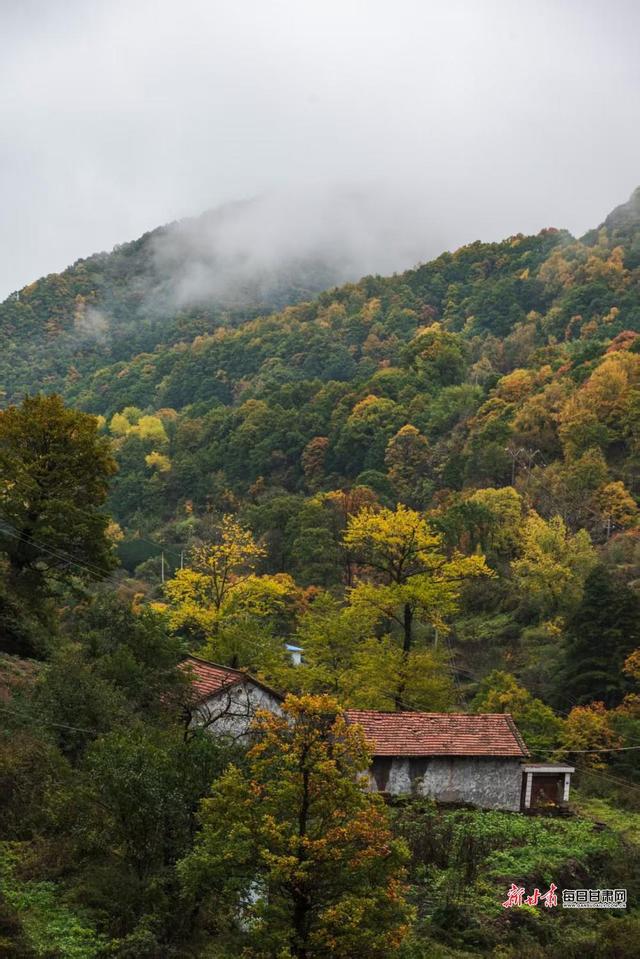 华亭关山多彩林海 解锁陇东最浓秋意