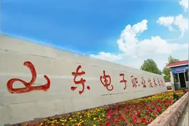 2024高考|多少分能报考山东电子职业技术学院？代码D856图片