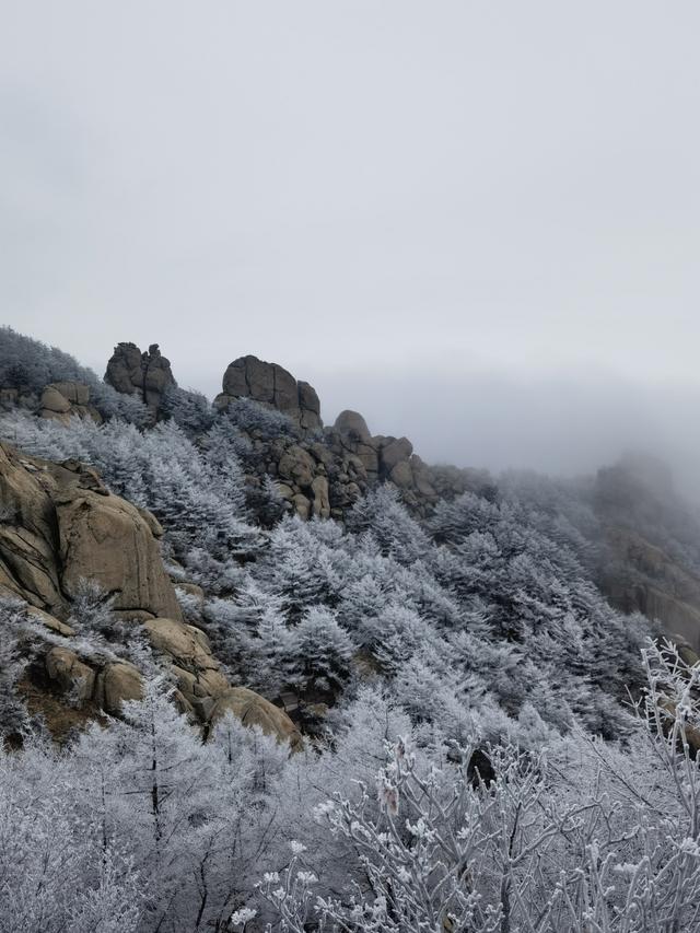 雾凇缀崂山