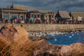 山东乡村旅游提质增效有了明星效应   胶东渔村何以成为世界“最佳旅游乡村”？图片