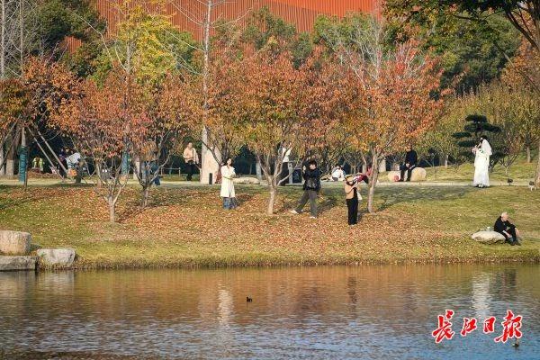 藏在公园里的浪漫栈道