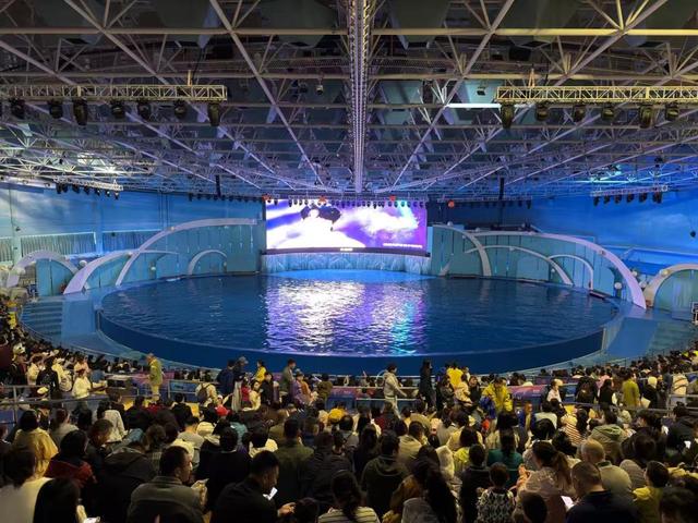 一张演唱会票根的“钞能力”！记者吃住行游购一趟省下超千元，1080元演唱会门票变“免费”