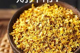 今年桂花为何花期异常？图片