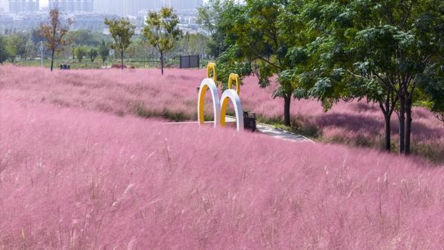 解锁“美拉德”色系！东平的秋天是懂氛围感的