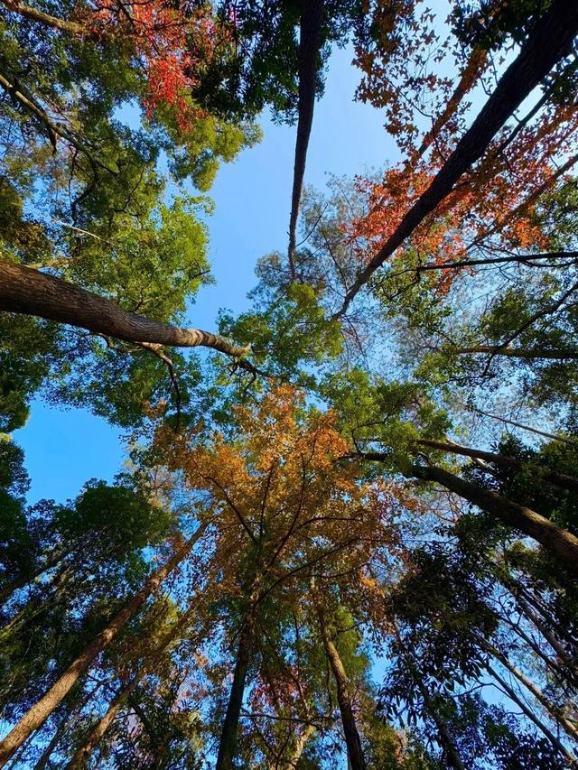 今天，带你一键解锁福安人的“精神快充站”！