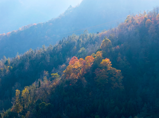 青睐绵阳 ‖ 云端公路 层林尽染！初冬驾游平武药丛山，限定版的视觉盛宴~