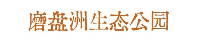 接下来的星沙也太好拍了吧！
