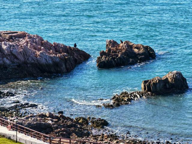 数智文旅 媒动山海丨俯瞰小麦岛，把青岛“明珠”框进眼底