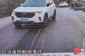 重庆一男子车祸6天后去世，法院判肇事车承担一半责任，律师：证明因果关系是难点图片