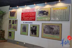 梅州市革命历史纪念馆在梅州市华侨博物馆临时开馆运行图片