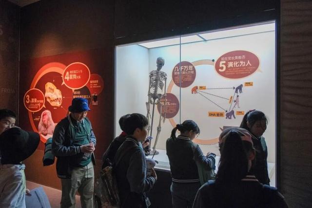 知识+100，快乐+100