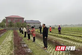 望城：让文明乡风激荡在希望的田野上图片