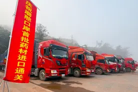 磨憨药材进口边境口岸首批药材通关图片