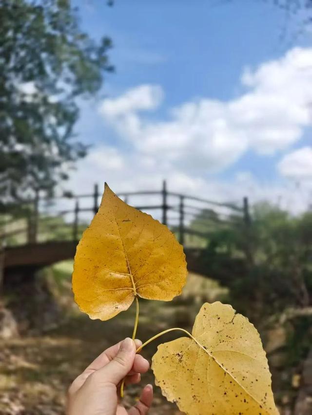 在苏家理想村，一场乡野游乐集正等你赴约
