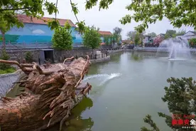 环境塑形、产业赋能、文明铸魂 泰安高质量打造宜居宜业和美乡村图片