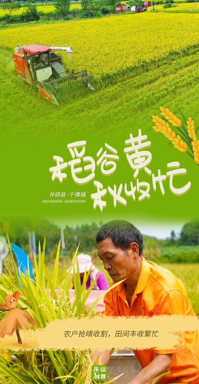 海报丨看！乐山 “醉” 美 “丰” 景上线