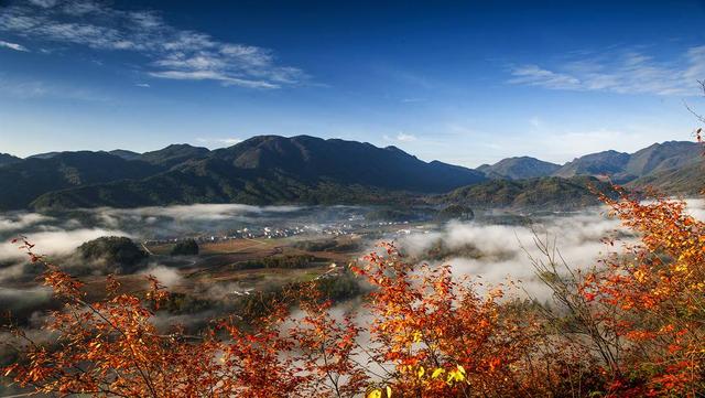 我把红叶送给你 四川巴中向海南发出“红色请柬”