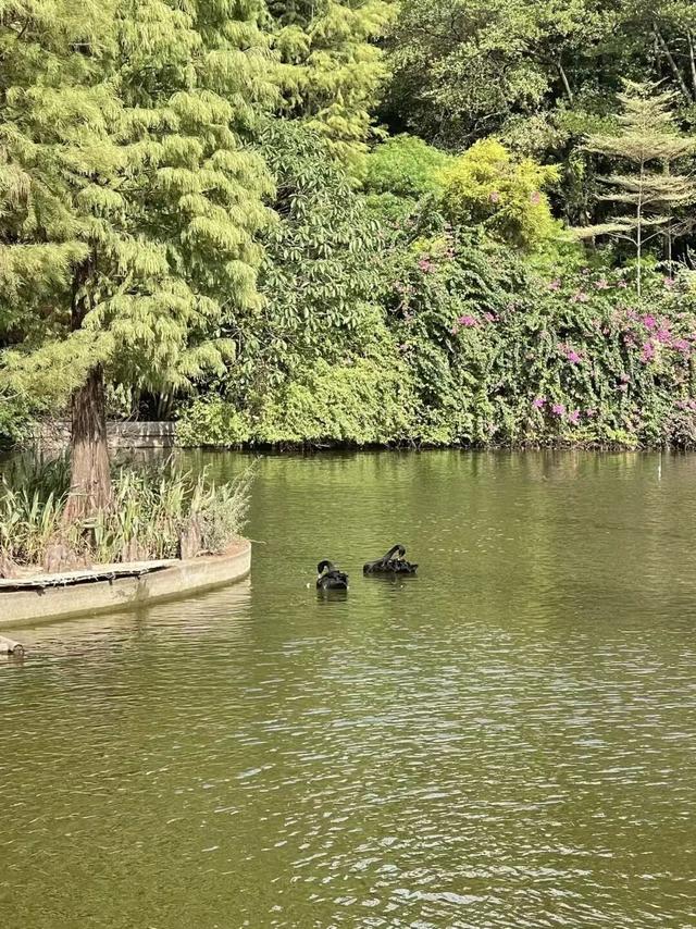 收藏这篇就够了！本地人私藏的广州逛吃指南