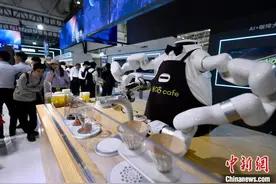 探馆数字中国建设峰会：机器人“来了”图片