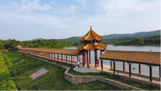 八公山初冬旅游攻略丨徒步骑行自驾，三种方式邂逅静谧冬韵！