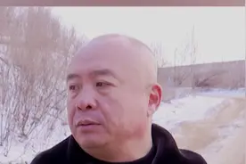 国内首次发现！东北虎捕食东北豹图片