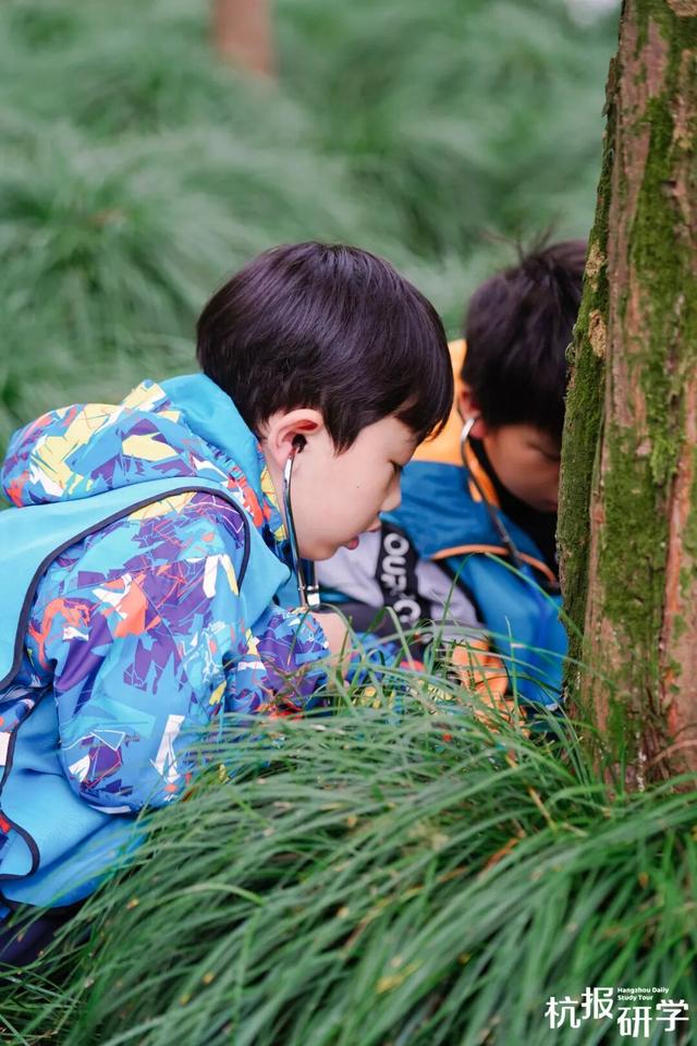 12.07 独立营｜冬日寻羽记：解码西湖候鸟的越冬密码！鸟类专家带队，探秘茅家埠“鸟类天堂”，体验听声辨鸟、飞羽寻踪的野趣周末！