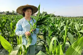 爱祖国 她奋斗⑲ | 咸宁市巾帼事迹展播——程艳图片