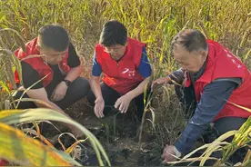 凝聚众力显担当 铸就乡村新辉煌——神木市乡村振兴联合会的奋进之路图片