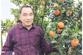 谢安云：单手农人撑起一片天图片