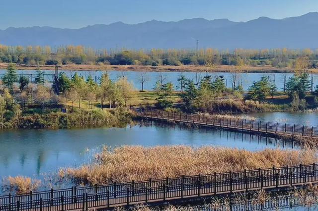 杨凌美成“调色盘”！你爱了吗？