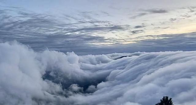 去临安太子尖看云海雾凇，出发前先查查“临安旅游天气通”小程序