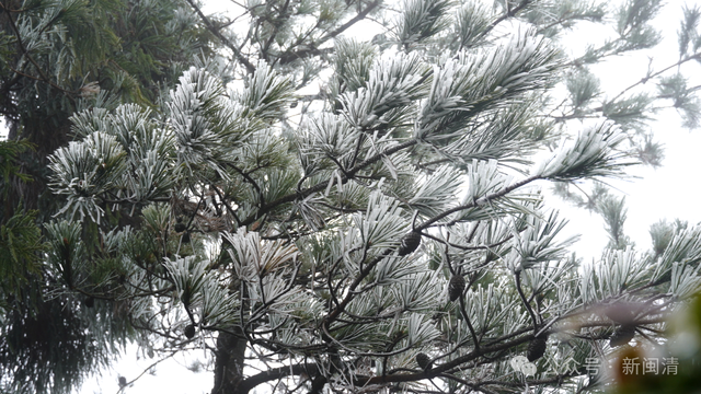 气温过山车！福建明天最低-4℃，周末直冲20℃