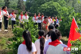 临澧县刻木山乡中心小学开展少先队乡村振兴实践活动图片